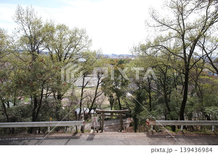生石神社 東参道の石段と鳥居(兵庫県高砂市) 生石神社 東参道の石段と鳥居(兵庫県高砂市) 139436984