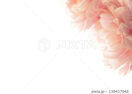 芍薬−シャクヤク PC 芍薬−シャクヤク PC 139437048