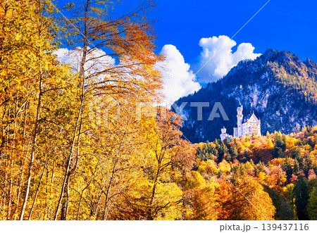 紅葉の美しいノイシュバンシュタイン城の絶景 紅葉の美しいノイシュバンシュタイン城の絶景 139437116