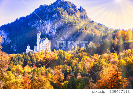 紅葉の美しいノイシュバンシュタイン城の絶景 139437118