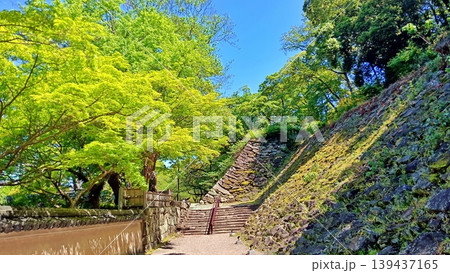 青空と新緑が美しい春の和歌山城の石垣と階段 青空と新緑が美しい春の和歌山城の石垣と階段 139437165