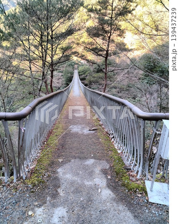渓流と吊り橋 139437239