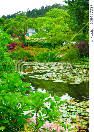 モネの池のある風景 モネの池のある風景 139437257