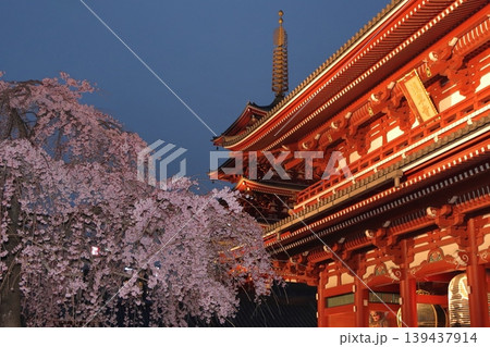 満開の桜と浅草寺宝蔵門　東京の観光地　 139437914