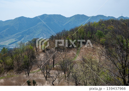 日本の岡山県真庭市の三平山のとても美しい風景 日本の岡山県真庭市の三平山のとても美しい風景 139437966