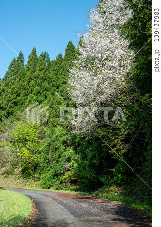 日本の岡山県真庭市の三平山のとても美しい風景 日本の岡山県真庭市の三平山のとても美しい風景 139437983