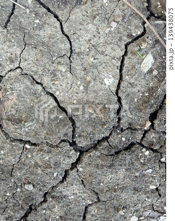 Cracked earth. The ground is a mosaic of hard, dry soil broken into irregular plates by deep, dark fissures. 139438075