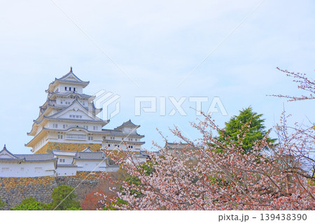 兵庫県姫路市、満開の桜と姫路城の風景 兵庫県姫路市、満開の桜と姫路城の風景 139438390