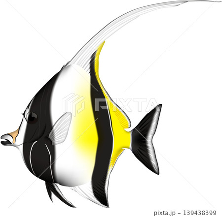 魚イラスト 「ツノダシ」 ベクター形式 白背景(pngは背景透過)・単体 魚イラスト 「ツノダシ」 ベクター形式 白背景(pngは背景透過)・単体 139438399