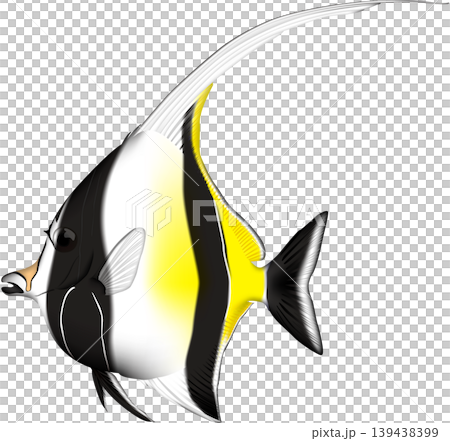 魚イラスト 「ツノダシ」 ベクター形式 白背景(pngは背景透過)・単体 魚イラスト 「ツノダシ」 ベクター形式 白背景(pngは背景透過)・単体 139438399