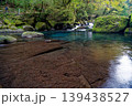 熊本　秋の菊池渓谷 139438527