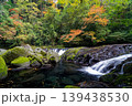 熊本　秋の菊池渓谷 139438530