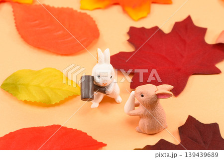 うさぎと紅葉で十五夜のイメージ 139439689