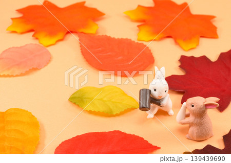 うさぎと紅葉で十五夜のイメージ 139439690