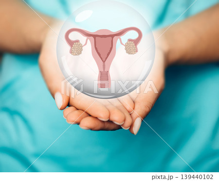 gynecologist showing a virtual uterus and ovaries model. Female reproductive system gynecologist showing a virtual uterus and ovaries model. Female reproductive system 139440102