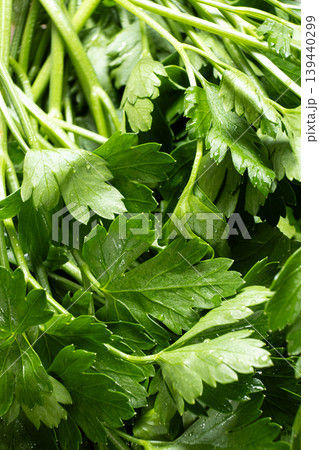 Wet garden parsley herb top view texture 139440299