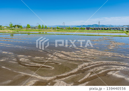 湖西地方比良の田園風景 水を張った水田 滋賀県大津市 湖西地方比良の田園風景 水を張った水田 滋賀県大津市 139440556
