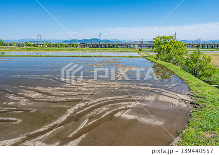 湖西地方比良の田園風景 水を張った水田 滋賀県大津市 湖西地方比良の田園風景 水を張った水田 滋賀県大津市 139440557