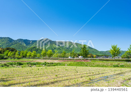 湖西地方比良の田園風景 滋賀県大津市 湖西地方比良の田園風景 滋賀県大津市 139440561