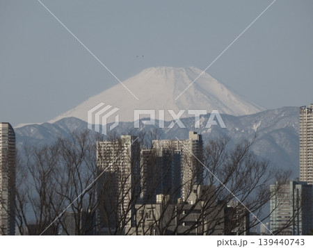 2024年1月14日撮影、高層ビル群の奥にそびえる雪化粧した富士山の遠景 2024年1月14日撮影、高層ビル群の奥にそびえる雪化粧した富士山の遠景 139440743