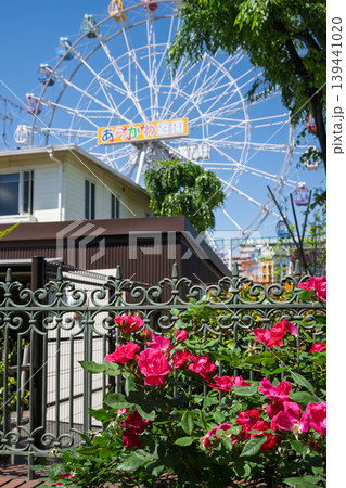 バラの花とあらかわ遊園の観覧車 139441020