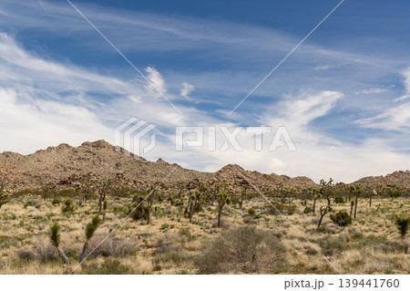Joshua Tree National Park 139441760