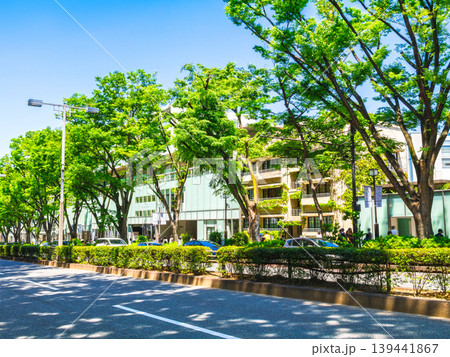 東京　新緑の表参道 139441867