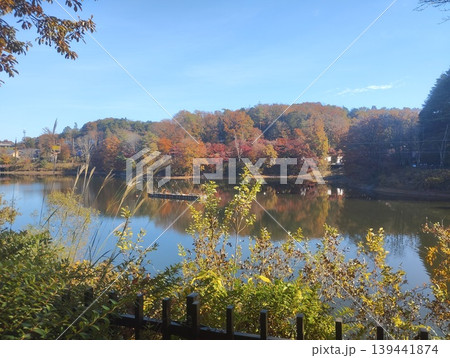 宮沢湖周辺の湖面に映る秋の紅葉 宮沢湖周辺の湖面に映る秋の紅葉 139441874