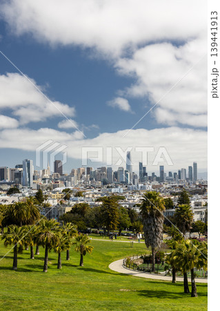 Downtown San Francisco view from park 139441913