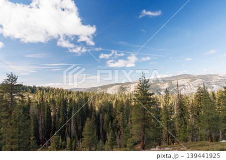 Scenic summer landscape in Yosemite National Park with mountains, forest, and sky 139441925