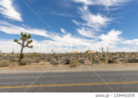 Fantastic landscapes of Joshua Tree Park Fantastic landscapes of Joshua Tree Park 139442059