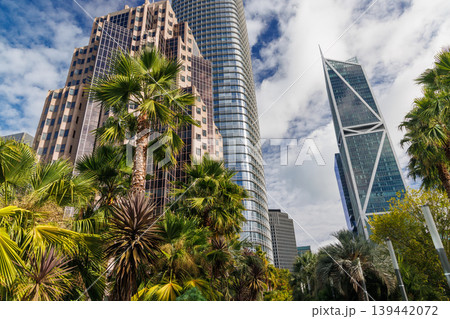 San Francisco's stunning skyscrapers rise against the sky San Francisco's stunning skyscrapers rise against the sky 139442072