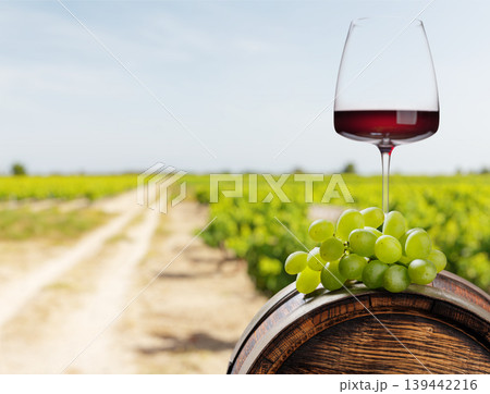 Red wine glass with grapes vineyard background 139442216