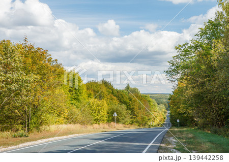 Country asphalt road in summer landscape Country asphalt road in summer landscape 139442258