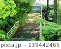 新緑に囲まれた森の中の小道 139442465