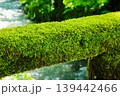 渓流沿いの苔むした手すり 139442466