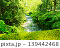 新緑の森を流れる渓流 139442468