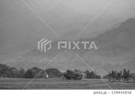 The natural beauty of the Indonesian mountains with beautiful tropical forests at sunrise The natural beauty of the Indonesian mountains with beautiful tropical forests at sunrise 139442656