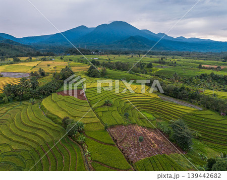 The natural beauty of the Indonesian mountains with beautiful tropical forests at sunrise 139442682