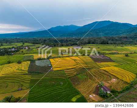 The natural beauty of the Indonesian mountains with beautiful tropical forests at sunrise 139442686
