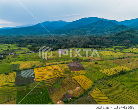 The natural beauty of the Indonesian mountains with beautiful tropical forests at sunrise The natural beauty of the Indonesian mountains with beautiful tropical forests at sunrise 139442689