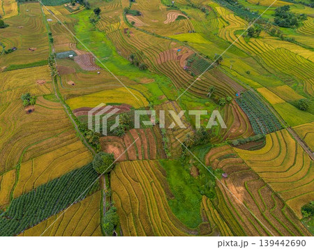 The natural beauty of the Indonesian mountains with beautiful tropical forests at sunrise The natural beauty of the Indonesian mountains with beautiful tropical forests at sunrise 139442690