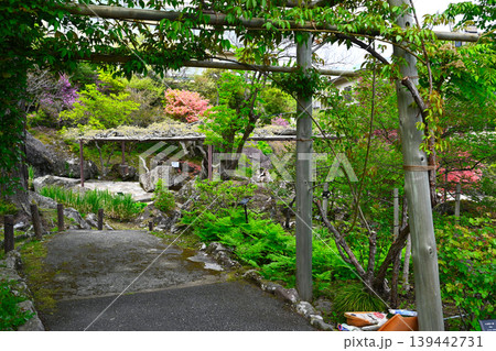 箱根 強羅公園の景色 箱根 強羅公園の景色 139442731