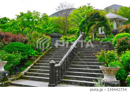 箱根 強羅公園の景色 箱根 強羅公園の景色 139442734