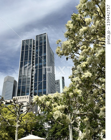 city skyscraper office glass skyline work tree city skyscraper office glass skyline work tree 139442757