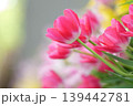 かわいいピンク色のチューリップ 139442781