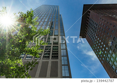 city skyscraper office glass skyline work tree city skyscraper office glass skyline work tree 139442787