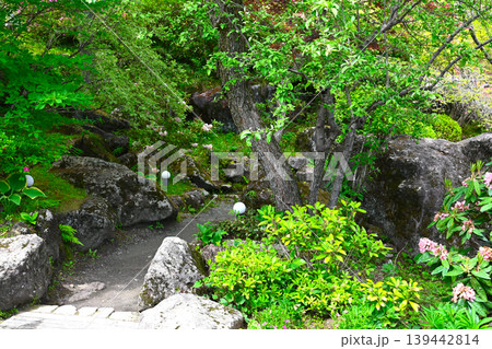 箱根 強羅公園の景色 箱根 強羅公園の景色 139442814