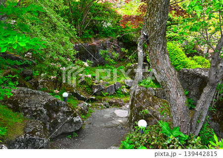 箱根 強羅公園の景色 箱根 強羅公園の景色 139442815