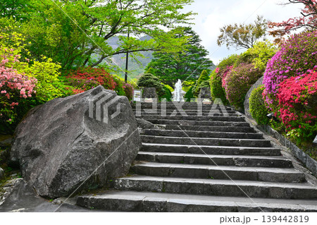 箱根 強羅公園の景色 箱根 強羅公園の景色 139442819